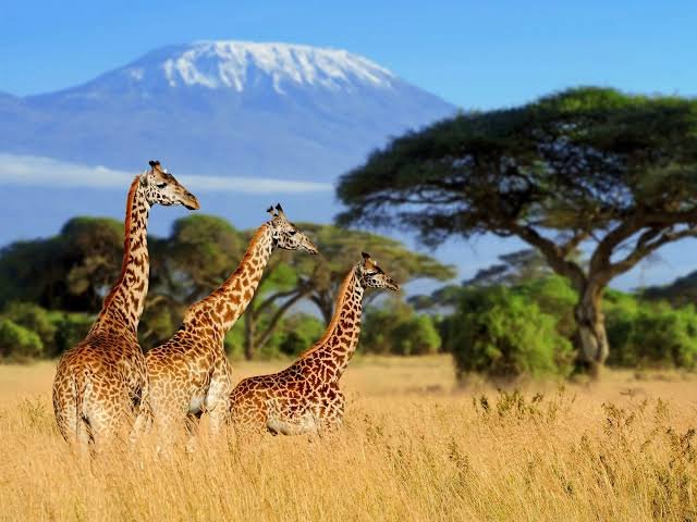 International Tours Nashik